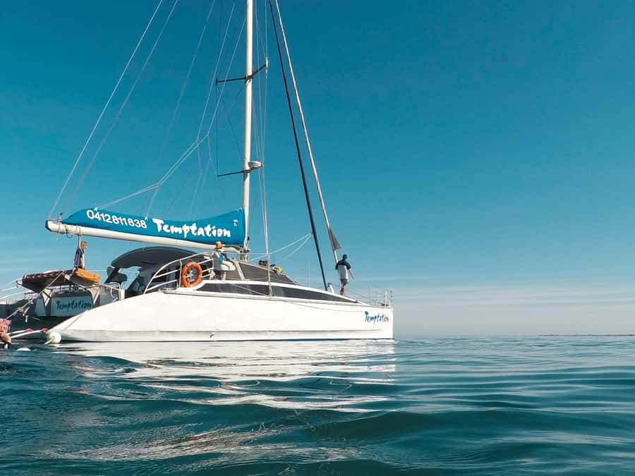 Adelaide: Glenelg Twilight Catamaran Cruise with Drink - What the catamaran ride feels like once you’re underway