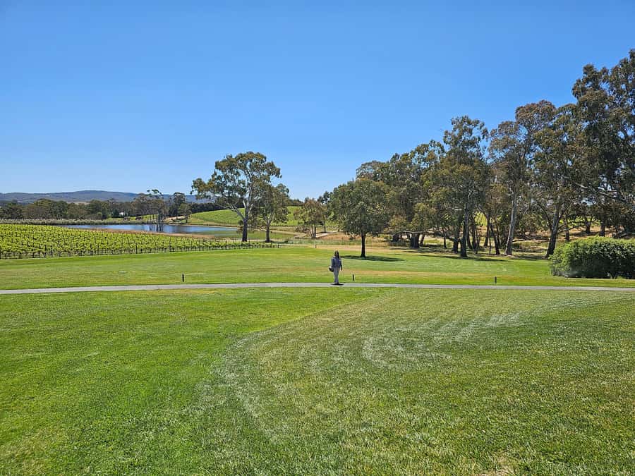 Adelaide: Hahndorf & Hills Wine and/or Gin Tour - Pickup, small-group pacing, and how it affects your day