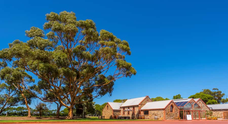 Adelaide: Half-day McLaren Vale & Glenelg Wine Tasting Tour - Meeting Point: Victoria Square Start Makes It Easy