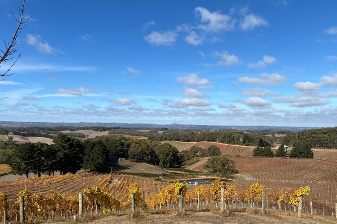 Adelaide Hills and Hahndorf - Half Day Private Scenic Tour - Beerenberg Farm: A Produce Shop and Cafe Break That’s Built In
