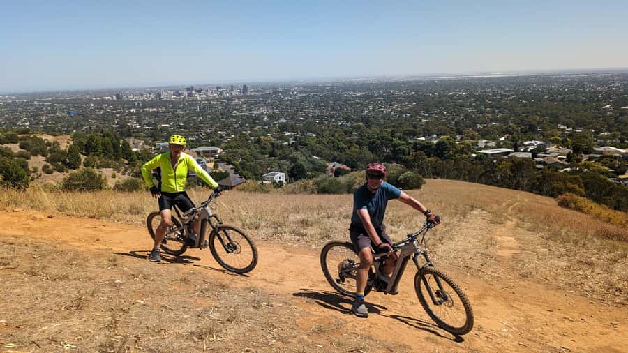 Adelaide Hills: E-Bike Self-Guided Tour with Coffee and Cake - Wildlife spotting: koalas, kangaroos, and emus without the safari stress