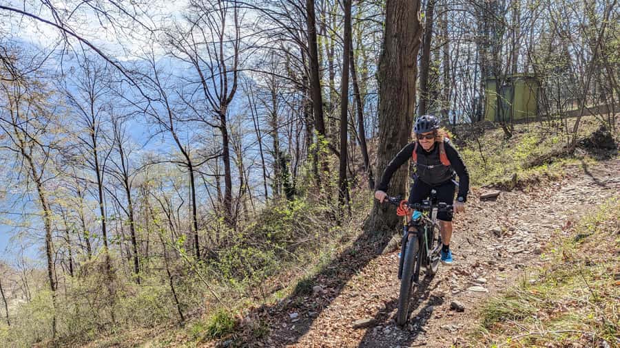 Adelaide Hills: E-Bike Self-Guided Tour with Coffee and Cake - Cleland and Mount Lofty: the scenery payoff zone
