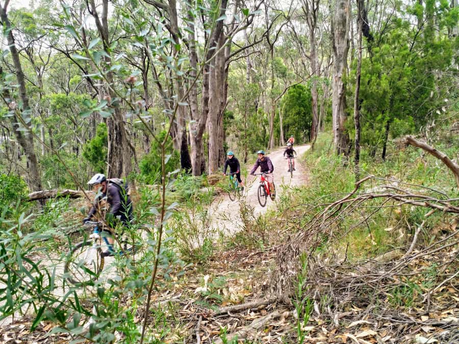 Adelaide Hills: E-Bike Self-Guided Tour with Coffee and Cake - What’s included in the $88 price, and why it can feel like good value