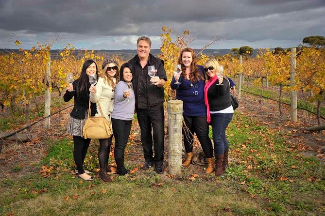 Adelaide Hills & Hahndorf Hop-On Hop-Off Wine Tour - Comfort, group size, and who this tour suits best