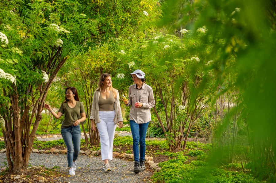 Adelaide Hills: Jurlique Farm Tour - Why Jurlique’s Adelaide Hills Farm Tour Works