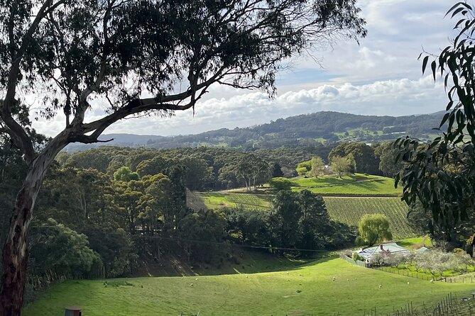 Adelaide Hills Nature Highlights Self-Guided e-Bike Tour - Key Highlights You’ll Actually Feel on the Ride