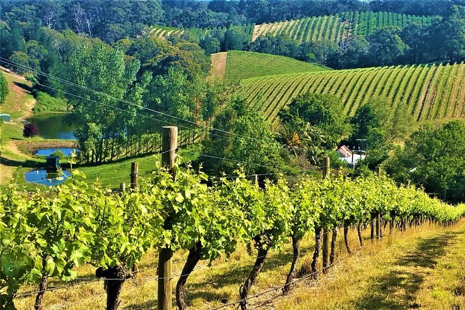 Adelaide Hills Private Day Tour - Private Adelaide Hills Day Tour: What You’re Really Paying For