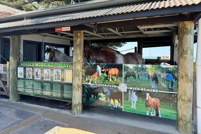 Adelaide Hills Private Day Tour - Pace and Timing: How to Make a Long Day Feel Easy