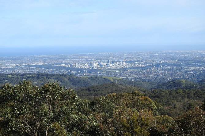 Adelaide Hills Private Day Tour - Who This Tour Suits Best (and Who Might Not)