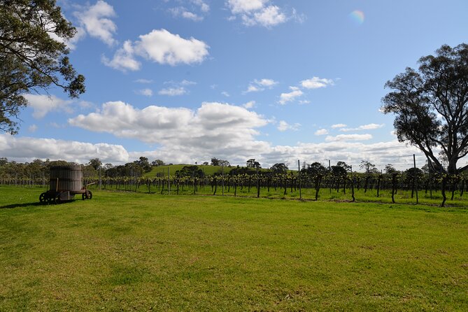 Adelaide Japanese Group Winery Day Tour in Barossa and Hahndorf - A compact 8-hour plan from Adelaide that actually feels manageable