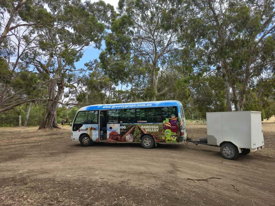 Adelaide: Kangaroo Island 2-Day Epic Wildlife Adventure - From Adelaide to Penneshaw: the start that keeps the day moving