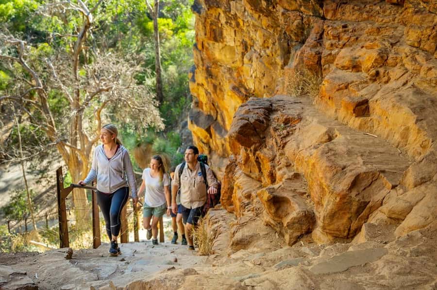 Adelaide: Morialta Wilderness and Wildlife Hike - Morning tea is included, but lunch is not