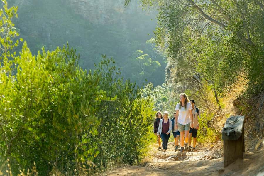 Adelaide: Morialta Wilderness and Wildlife Hike - Morialta Conservation Park at dawn: the smart way to see more