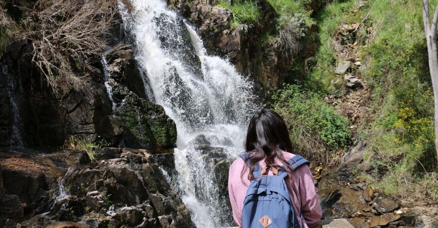 Adelaide: Morialta Wilderness and Wildlife Hike - The itinerary rhythm: what you’ll do in 270 minutes