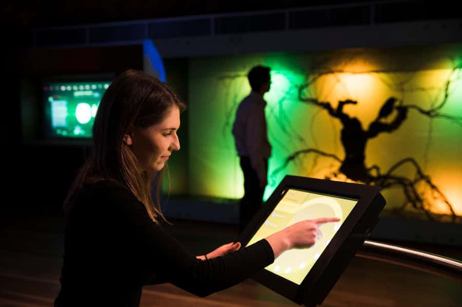 Adelaide: National Wine Centre Wine Discovery Journey - Key highlights at a glance