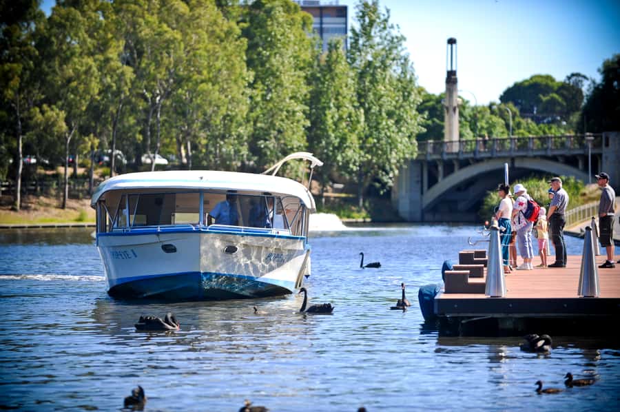 Adelaide: River Torrens Popeye Devonshire Tea Cruise - The first minutes: safety, introductions, then the stories begin