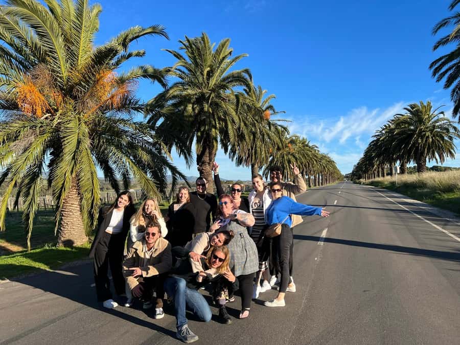 Adelaide: South Australia Guided Full-Day Highlights Tour - Mount Lofty Summit: the quick high-view payoff