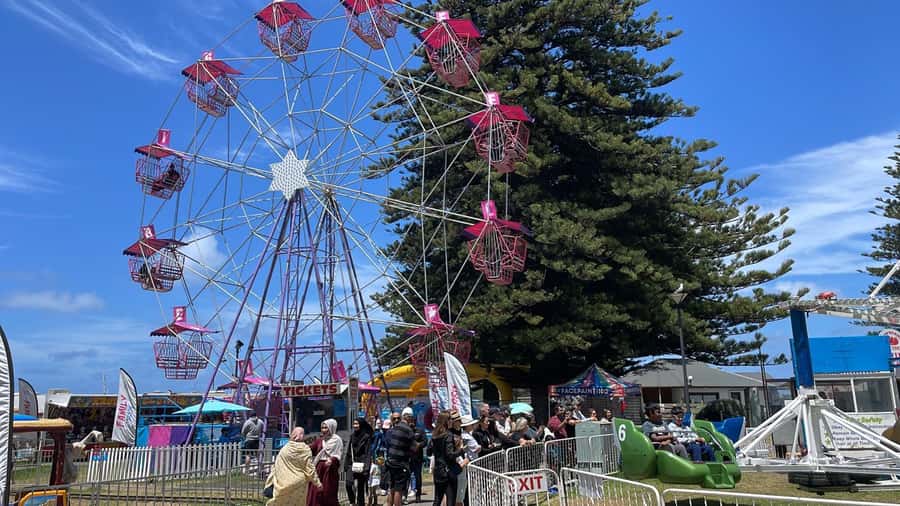 Adelaide: South Australia Guided Full-Day Highlights Tour - Victor Harbor and Granite Island: where the ocean time pays off