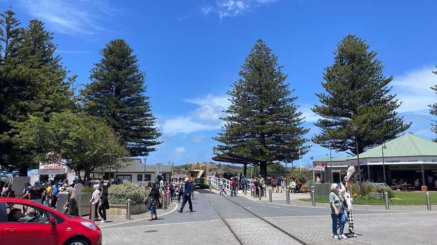 Adelaide: South Australia Guided Full-Day Highlights Tour - Small timing issues to plan around (especially at lunch)