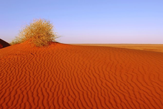Adelaide to Coober Pedy 7-Day Small Group 4WD Eco Safari - Small-group 4WD logistics: pickup, pacing, and what the group size changes