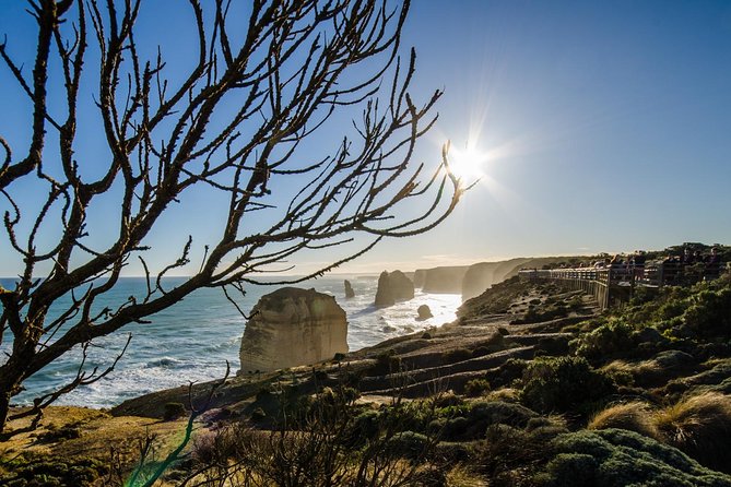 Adelaide to Melbourne 3-Day Trip Grampians and Great Ocean Road - Day 3: Loch Ard Gorge, Twelve Apostles, Great Otway rainforest, and on to Melbourne
