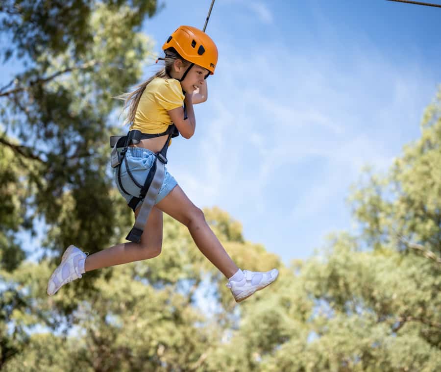 Adelaide: TreeClimb Adelaide Climb For Little Adventurers - Key Points Before You Book