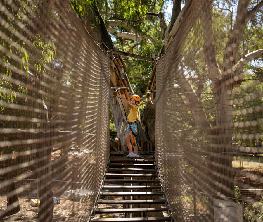 Adelaide: TreeClimb Adelaide Climb For Little Adventurers - Why This Adelaide TreeClimb Feels Right for Little Adventurers
