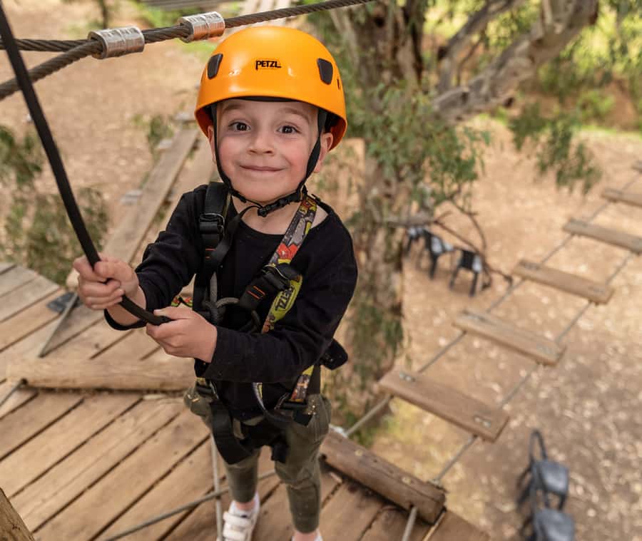 Adelaide: TreeClimb Adelaide Climb For Little Adventurers - Yellow Course: First Wins Up in the Treetops