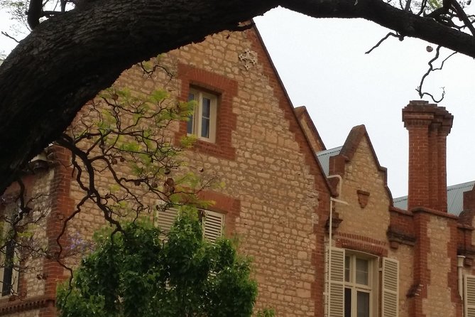 Adelaide Walking Tour: Hills, Squares and Parklands - Quick highlights: what makes this North Adelaide walk click