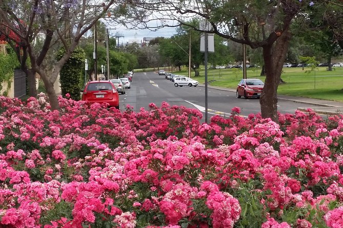 Adelaide Walking Tour: Hills, Squares and Parklands - Jeffcott Street homes and the shift from private living to institutions