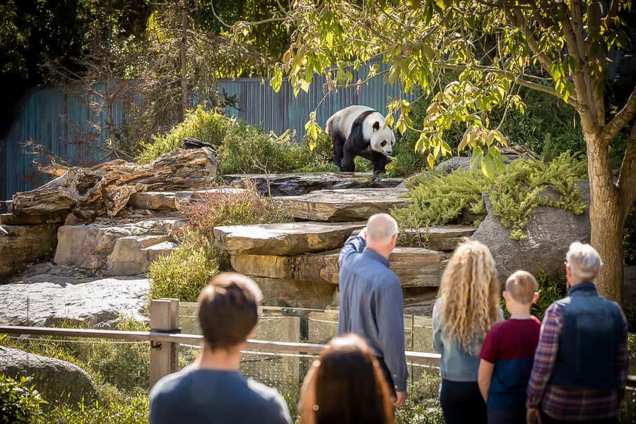 Adelaide Zoo: General Admission Tickets - Daily keeper talks: the fastest way to understand what you’re seeing