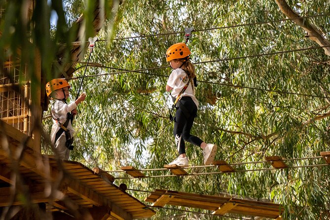 An exciting, Tree Top Adventure for Our Littlest Adventurers - Your role as a parent: coaching from the ground