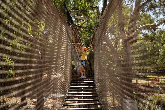 An exciting, Tree Top Adventure for Our Littlest Adventurers - Who this kids treetop course is best for