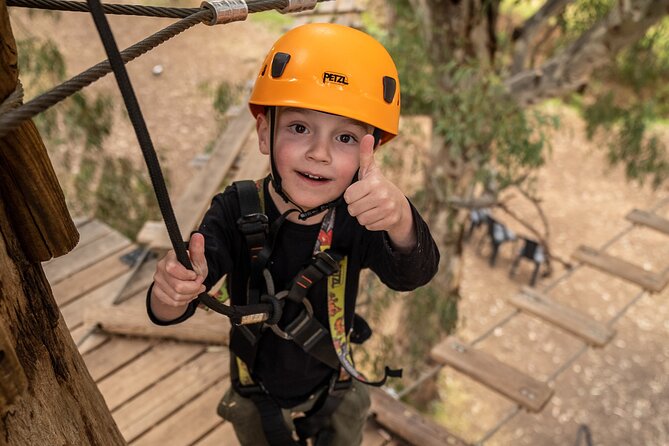An exciting, Tree Top Adventure for Our Littlest Adventurers - Value at $27.26: why this cost can make sense