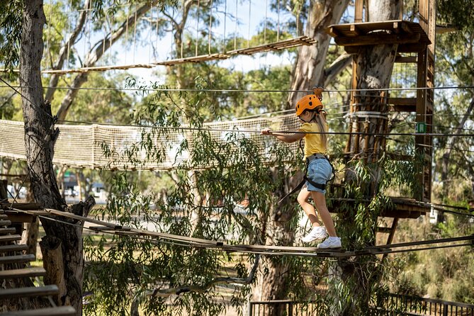 An exciting, Tree Top Adventure for Our Littlest Adventurers - Yellow to Orange: how the climbing progression works