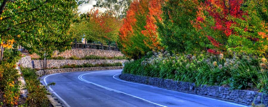 Barossa and Hahndorf Hill Tour - Key highlights to look for