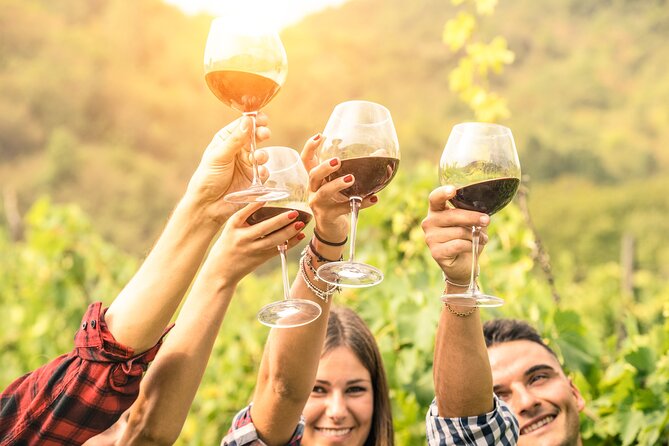 Barossa and Hahndorf Wine Tasting and Sightseeing Tour - Key things to know before you go