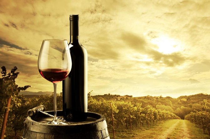 Barossa and Hahndorf Wine Tasting and Sightseeing Tour - Hahndorf: German settlement streets, walkable charm, and free time