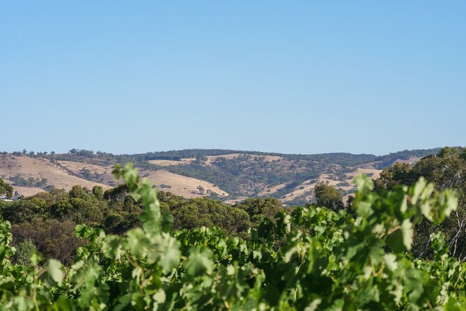 Barossa Bespoke Tours-A private, wine tour to the Barossa Valley - Private Barossa touring with Kym Farley: the whole point of going private