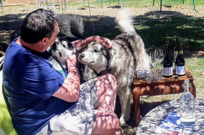 Barossa Private Wine Tour - Up to five wineries: how the tastings stay fun (not frantic)