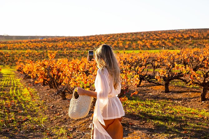 Barossa Small Group Wine Tours with Wine Tasting and Lunch - Pickup in Adelaide: door-to-door convenience, with one practical catch