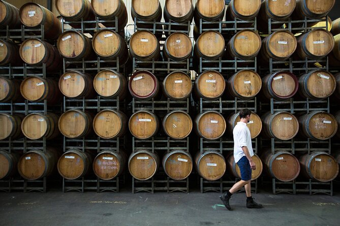 Barossa Small Group Wine Tours with Wine Tasting and Lunch - Transportation comfort: why the van matters when you’re tasting