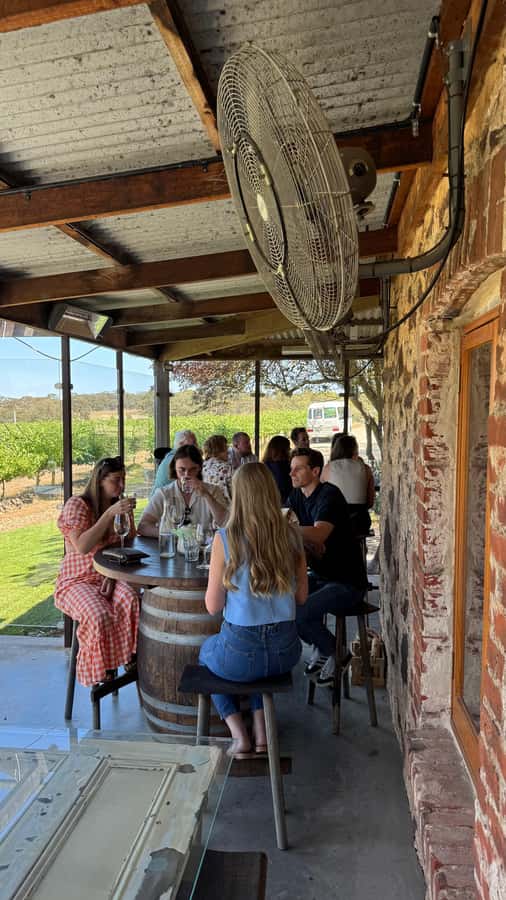 "Barossa Tour from Adelaide: 4 Tastings & Lunch Included" - Passing Jacob’s Creek: The Story Trip You Don’t See If You Drive Yourself
