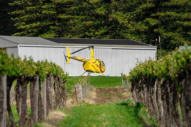 Barossa Valley Deluxe: 30-Minute Helicopter Flight - Why the pilot commentary makes a difference