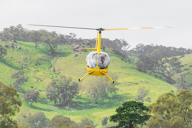 Barossa Valley Deluxe: 30-Minute Helicopter Flight - Pre-flight briefing: the part that keeps the vibe calm