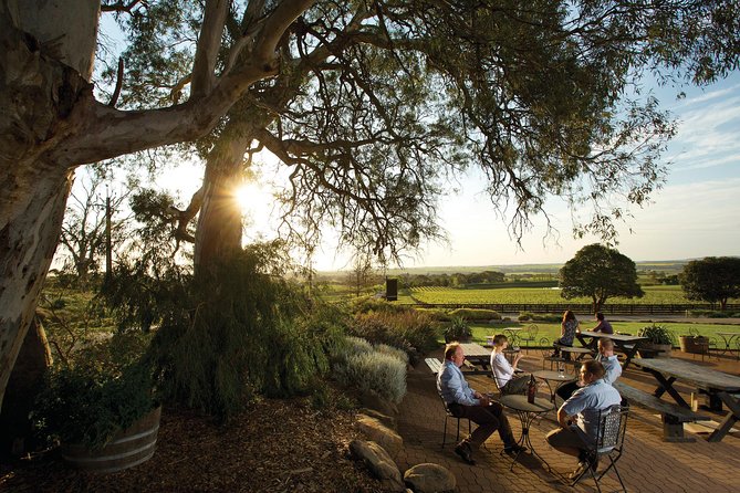 Barossa Valley Hop-On Hop-Off Wine Tour - Getting the most from hop-on hop-off: small tactics that pay off