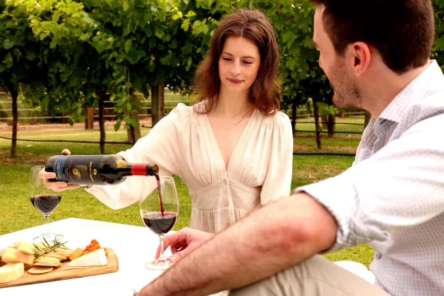 Barossa Valley: Jacob's Creek Perfect Picnic - When this picnic works best (and who might feel boxed in)