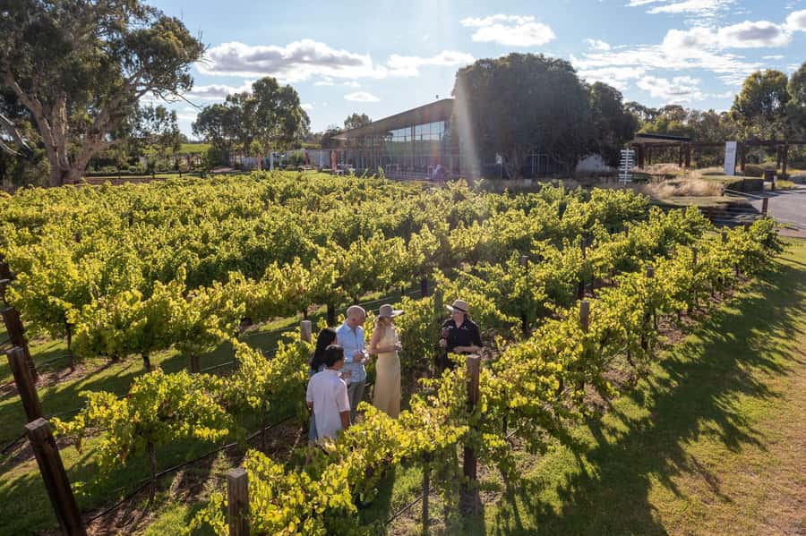 Barossa Valley: Jacob's Creek Perfect Picnic - Practical notes that help your day go smoothly