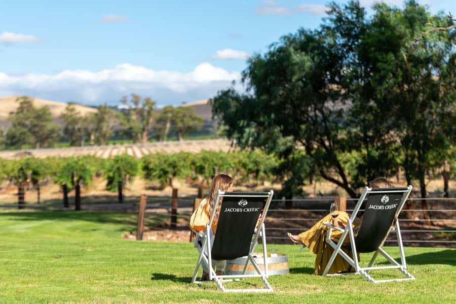 Barossa Valley: Jacob's Creek Perfect Picnic - Welcome Desk to first sip: sparkling, tour, and how the timing works