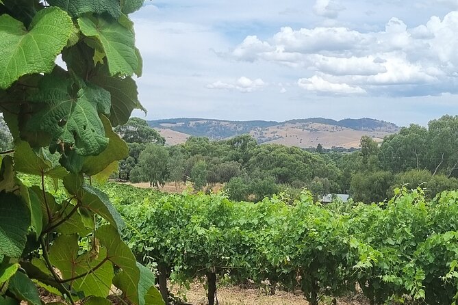 Barossa Valley Shared Tour with Wine Tasting and Lunch - Stop 2: Rockford Winery and traditional, hands-on methods